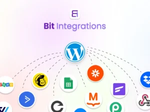 bit integrations wordpress automation plugin